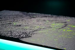 Ernteprognosen mit KI: Wie Satellitendaten die Landwirtschaft verändern