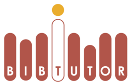 Development of an electronic tutor system for information retrival
