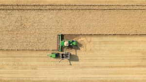 Yield Consortium: Die Fernerkundung aus dem All für die Landwirtschaft