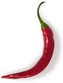 Saarbrücken Lexical Semantics Acquisition Project