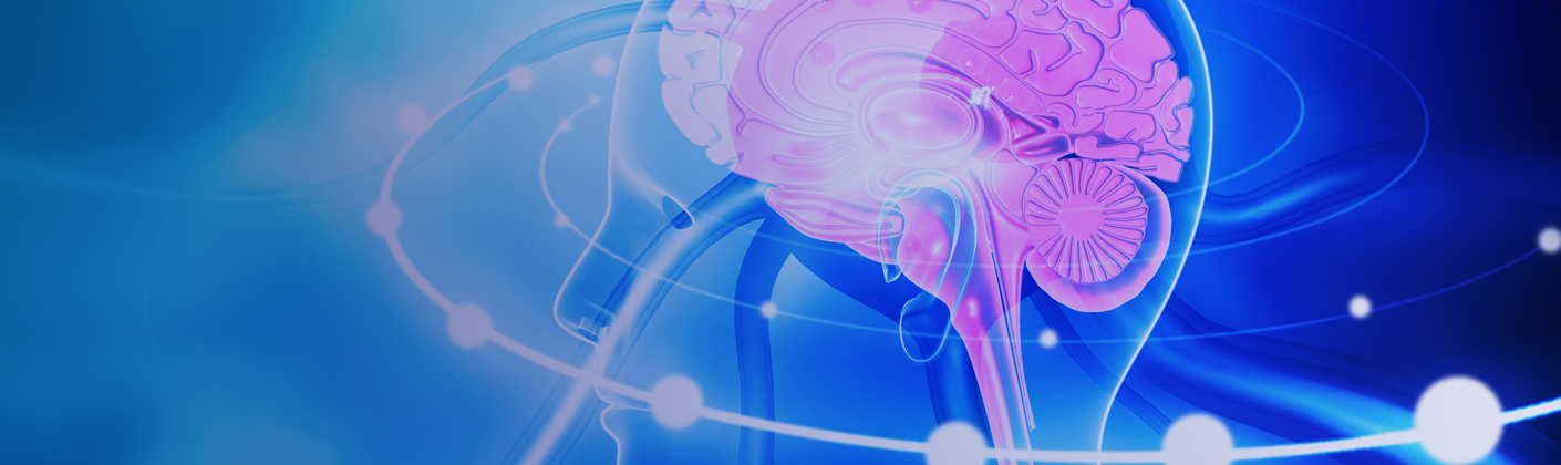 Künstliche Intelligenz in der biomedizinischen Signalverarbeitung